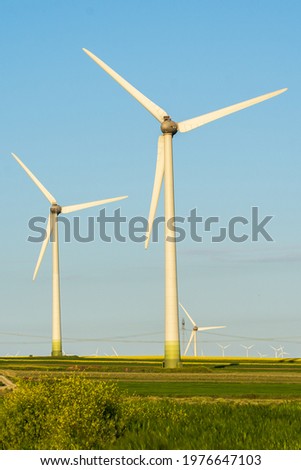 Eco power energy wind turbines on a green field of wheat during a bright sunny summer day, power plants in a windmill farm.
