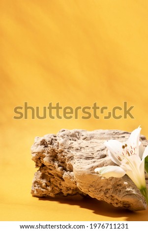 Background for cosmetic products of natural yellow color.