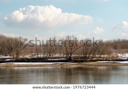 Lake in the park. Trees near the lake. Spring landscape
