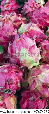 dragon fruit is fresh and contains many vitamins