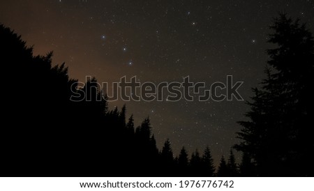 Ursa Major constellation seen above a coniferous forest in the night sky. Star watching can be a beautiful outdoor activity while camping. Royalty-Free Stock Photo #1976776742