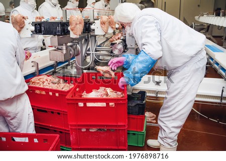 Production line in the food factory stock photo.Workers at meet industry handle meat organizing packing shipping loading at meat factory.