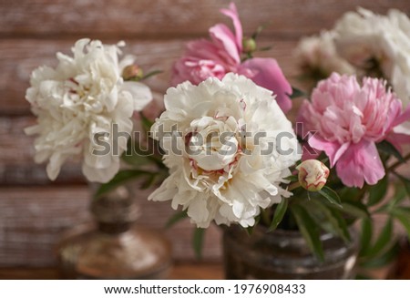 Paionies flowers isolated on wooden background.