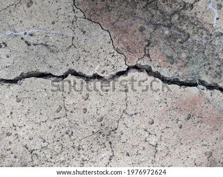 cracked in half an old concrete slab