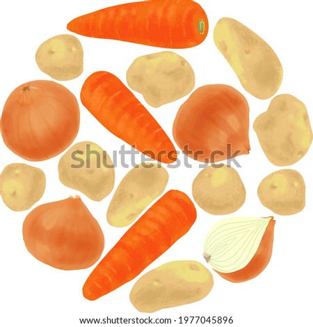 Vegetables for japanese curry , in a c ircle vector illustration. (carrot, onion, potato)
