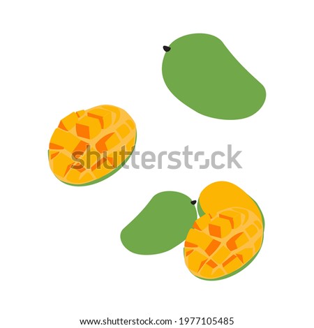 flat design vector of various variants of mango, sliced, peeled and whole