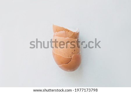 Food flat lay: empty pile of chicken eggshells on white background. Minimal composition with isolated egg shells. Cooking ingredient from organic farming. Royalty-Free Stock Photo #1977173798