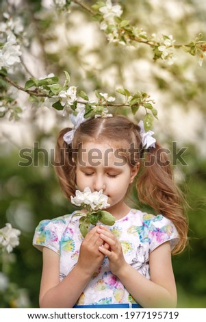 happy child five years sniffing flowers in blooming cherry orchard on sunny day. walk in spring in nature enjoys sun's rays. Cute baby collects fresh cherry tree flowers in spring and explores nature.
