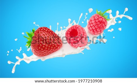 Strawberry and raspberry in milk splashes isolated on a blue background.