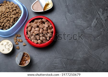Wet and dry pet food on grey table, flat lay. Space for text Royalty-Free Stock Photo #1977250679