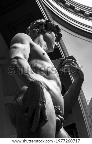 Michelangelo's David statue, Florence, Uffizi Museum Royalty-Free Stock Photo #1977260717