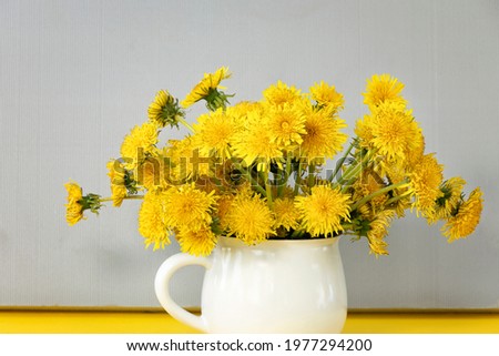 bright, beautiful, yellow dandelions in white mug. spring or summer yellow flowers on grey textured background. Ultimate Grey. Illuminating. Top view