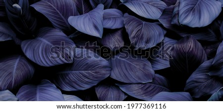 Leaf, Environmental Conservation, Green Color, Wall - Building Feature, Surrounding Wall