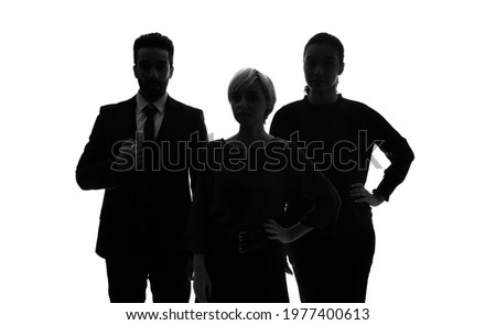 Silhouette of group of multi ethnic businesspeople. Global business.