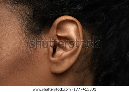Body parts in details - Closeup view of black female ear Royalty-Free Stock Photo #1977415301