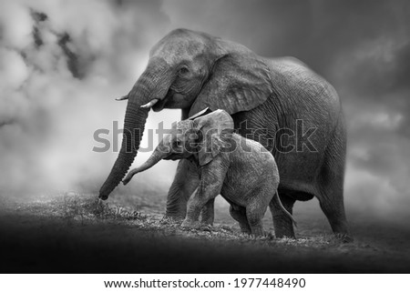 Elephant mother and baby with cloudy sky