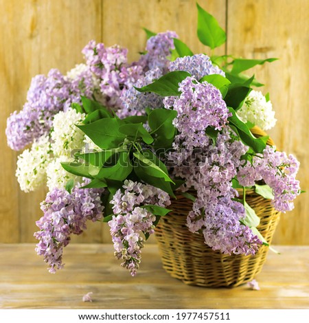 Lilac flower branches in wicker basket on natural wooden table near wall background. Close up. Selective soft focus. Shallow depth of field. Text copy space.