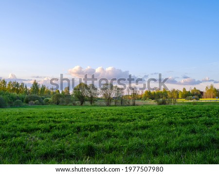 spring summer fields in countryside with forest in background. green grass