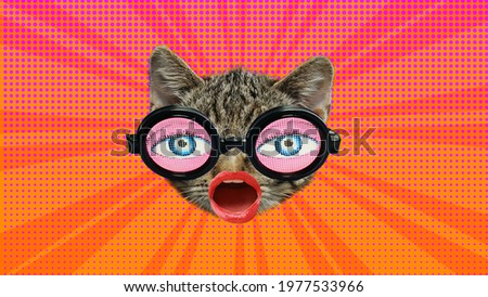 Surreal art collage. Concept cat wearing funny sunglasses on a colourful background.