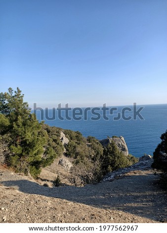 Sea coast of the mountain seashore with juniper trees under blue sky without clouds