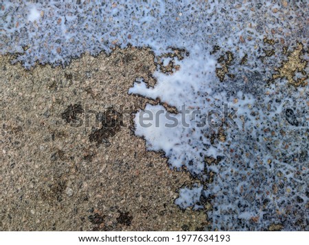 splashes of spilled milk on the asphalt photo in the daytime