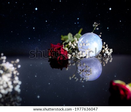 A group of nature roses with the moon in a beautiful night, a starry sky, a floor of glass - a larger area
