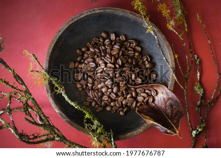 Coffee beans on the rustic wooden bowl, nature art concept with branches on red background