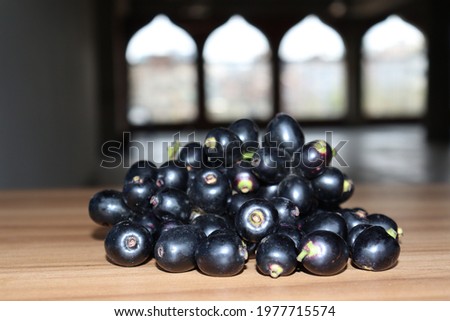 tasty and healthy black java plum stock on shop for sell