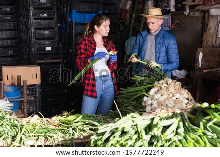 Couple of farmers peeling and sorting freshly harvested green onions, preparing for packing and storage of crops