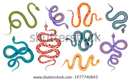Wild snakes. Colorful coral snake tattoos with abstract and natural patterns. Viper, anaconda crawl and hiss. Poisonous serpent vector set. Illustration reptile and serpent, viper and anaconda