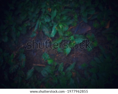 Defocused abstract background of beautiful green grass in the yard