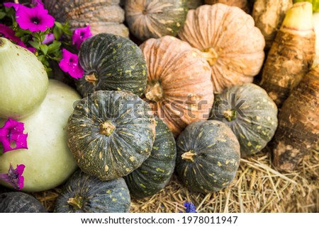 Picture of pile of pumpkins. There are the green on and the orange one. They on a hay stack.