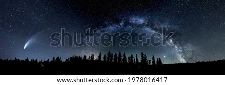 Night sky with the Milky Way and comet Neowise and a silhouette of pine trees along the horizon.

