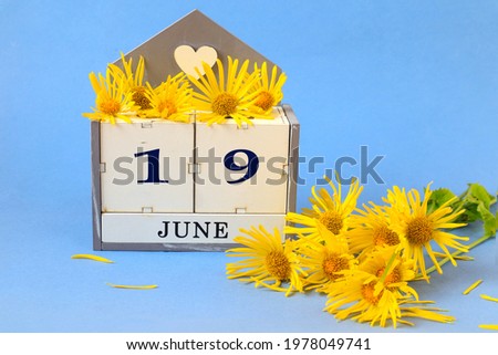 Calendar for June 19: cubes with the number 19 , the name of the month of June in English, a yellow daisy scattered on a blue background