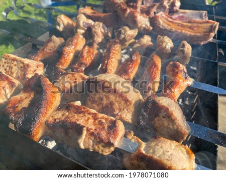 Delicious beautiful fried kebab of pork meat, chicken wings and pork ribs on the smoke cooked on the grill with skewers with coals. Barbecue in nature. BBQ.