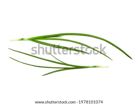 Green onion, ingredient of salads, isolated on white background Royalty-Free Stock Photo #1978101074