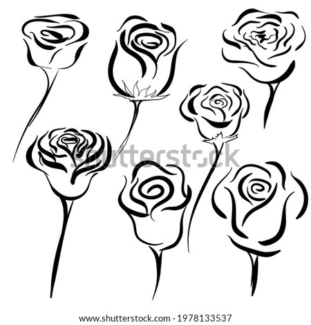 hand drawn rose flower set,collection of rose flower sketch on white background,