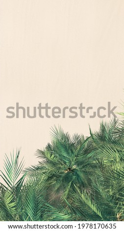 Top and aerial view on tropical sand beach, palm tree. Copy space. Drone photo. vertical. 16:9. Background 
