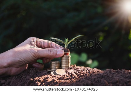 Putting a coin on pile of coins with young plant growing on top in nature background.