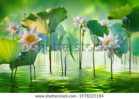 Beautiful white lotus flower and dragonfly in lake