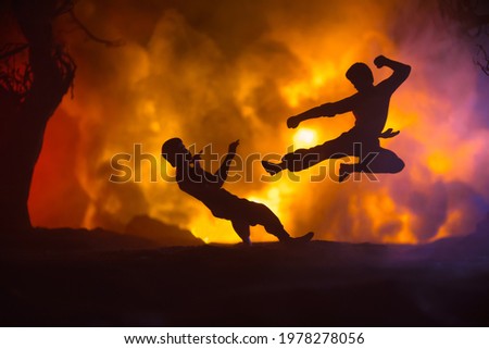 Karate athletes night fighting scene at burning forest. Character karate. Posing figure artwork decoration. Sport concept. Decorated foggy background with light. Selective focus Royalty-Free Stock Photo #1978278056