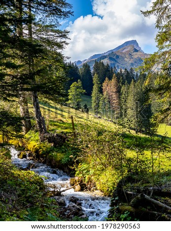Green meadow, creek, trees and mountain in typical swiss picture frame