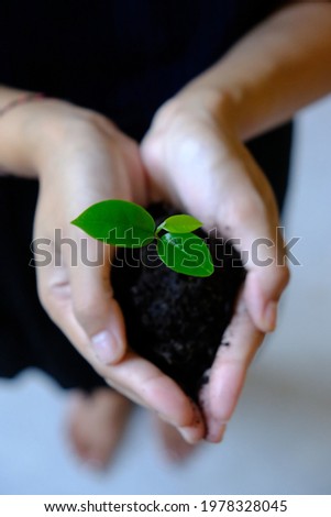 The Promise of Growth: Woman Holding Plant Seedling and Soil
The image is a reminder of the importance of taking care of our planet and nurturing new life.