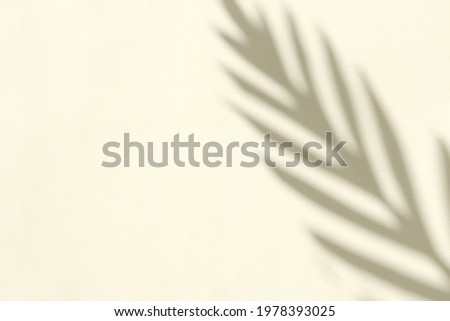 Silhouette of the shadow of a palm tree branch from sunlight on a light yellow background and copy space. Minimal creative concept.