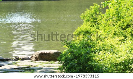 scenic lake environment nature foreground green foliage