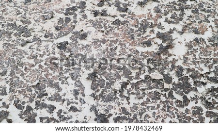  Texture of old white concrete wall for background. abstract grey for background. gray background Wall texture                              