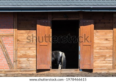 The open door of the stable and the protruding pupa of the horse - a stable and a zoo