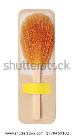 Fruit berry dessert, colored marmalade in the form of a shell on a wooden stick on a white background