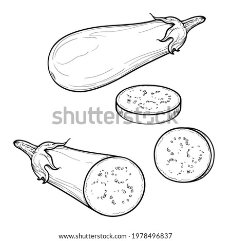 Hand Drawn Eggplant, half a eggplant and a slice. Black and white. Vector illustration, isolated on a white background. Royalty-Free Stock Photo #1978496837