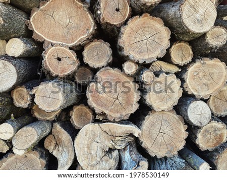 Background of dry chopped firewood logs. Natural wooden background - closeup of chopped firewood. Firewood stacked and prepared for winter Pile of wood logs.